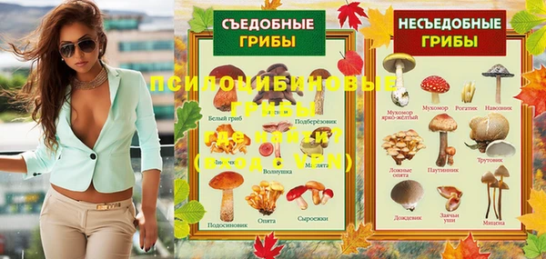 ALPHA PVP Арсеньев