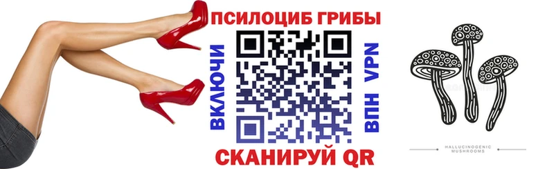Псилоцибиновые грибы прущие грибы  Вяземский 